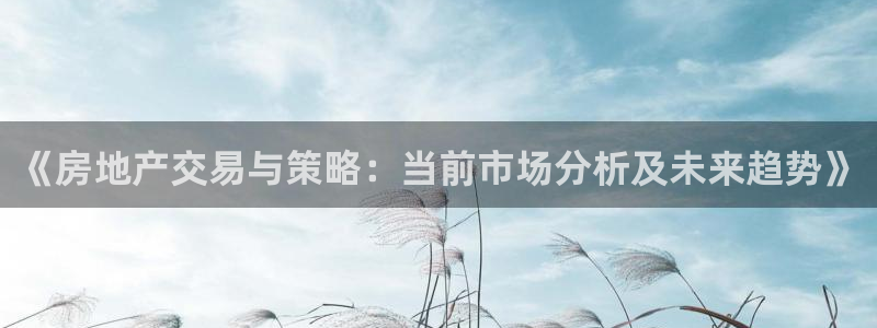 天狮娱乐57661 老x板：《房地产交易与策略：当前市场分析