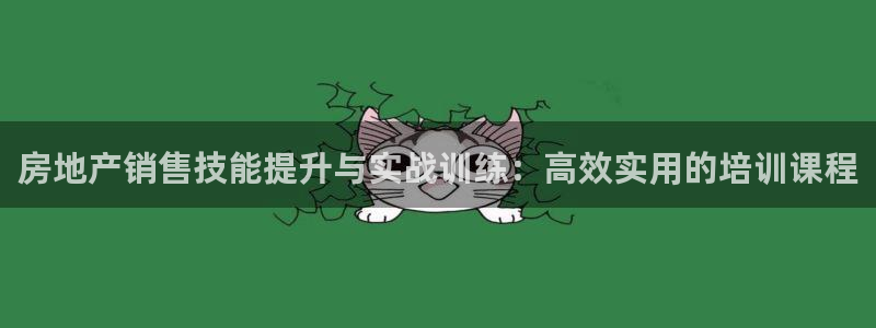 天狮娱乐网址：房地产销售技能提升与实战训练：高效实用的培训课