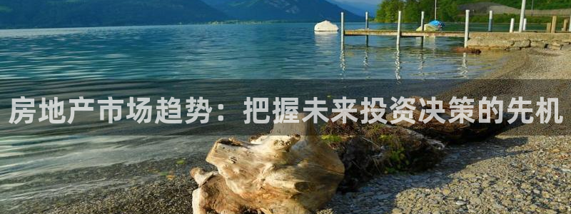天狮娱乐真的吗：房地产市场趋势：把握未来投资决策的先机