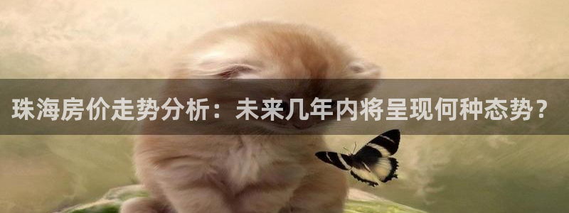 天狮娱乐招商：珠海房价走势分析：未来几年内将呈现何种态势？