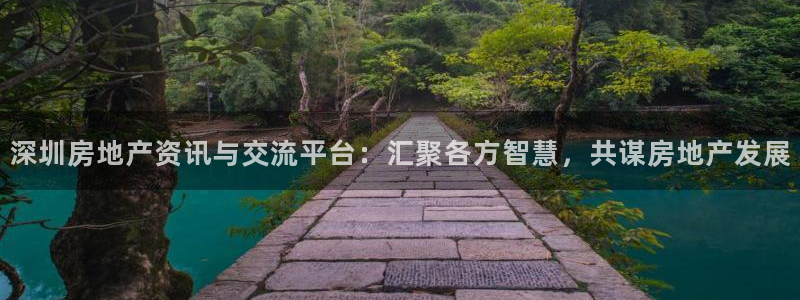 天狮娱乐股东招商：深圳房地产资讯与交流平台：汇聚各方智慧，共