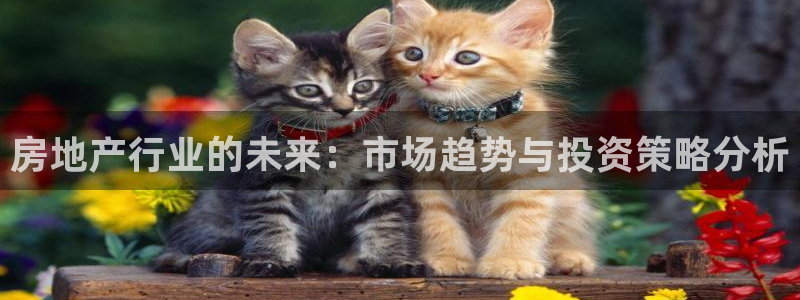 天狮娱乐- 0 招a商：房地产行业的未来：市场趋势与投资策略