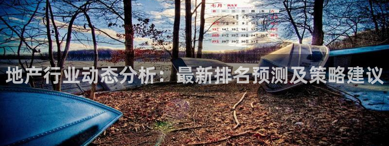 天狮娱乐代理最高多少：地产行业动态分析：最新排名预测及策略建