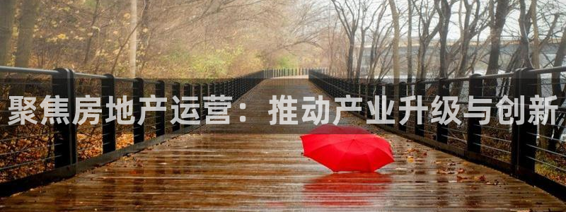 天狮娱乐 接待 0：聚焦房地产运营：推动产业升级与创新