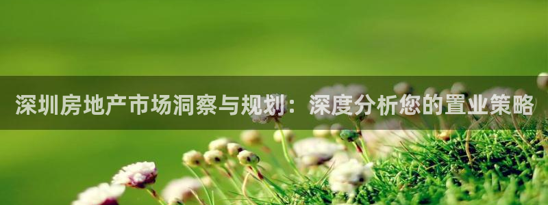 天狮娱乐指尖自：深圳房地产市场洞察与规划：深度分析您的置业策