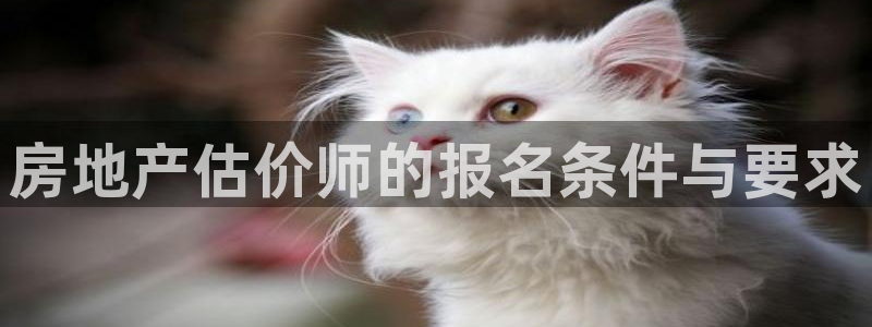 石家庄天狮娱乐会所：房地产估价师的报名条件与要求