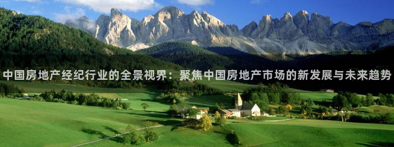 天狮娱乐 运营88383x：中国房地产经纪行业的全景视界：聚