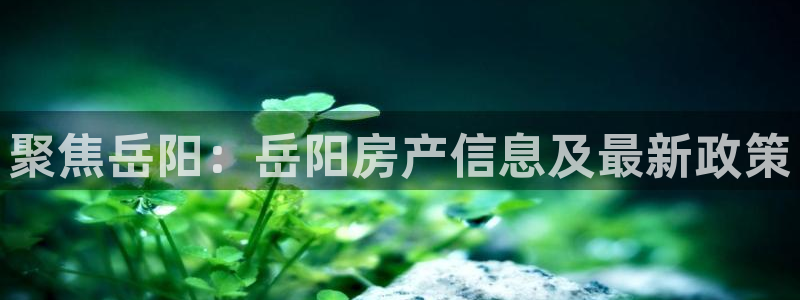 天狮娱乐 股31661东r：聚焦岳阳：岳阳房产信息及最新政策