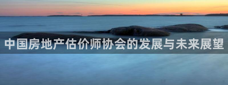 天狮娱乐縕不稳当：中国房地产估价师协会的发展与未来展望