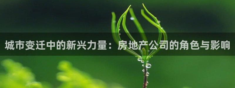 天狮娱乐app是哪的：城市变迁中的新兴力量：房地产公司的角色