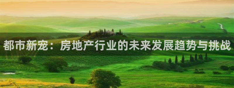 天狮娱乐招商主管：都市新宠：房地产行业的未来发展趋势与挑战