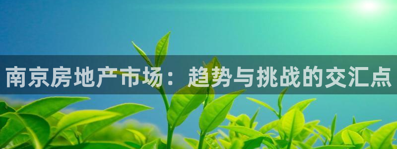 天狮娱乐官网：南京房地产市场：趋势与挑战的交汇点