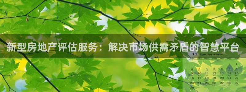 天狮娱乐客服电话：新型房地产评估服务：解决市场供需矛盾的智慧