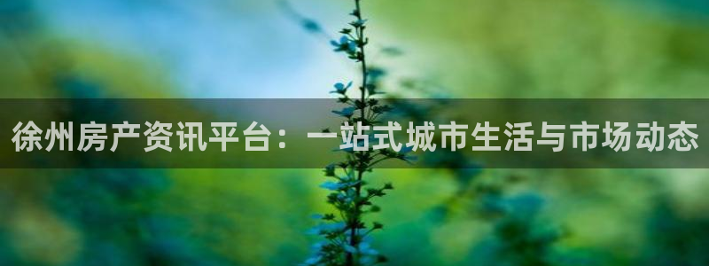 天狮娱乐d 判官：徐州房产资讯平台：一站式城市生活与市场动态