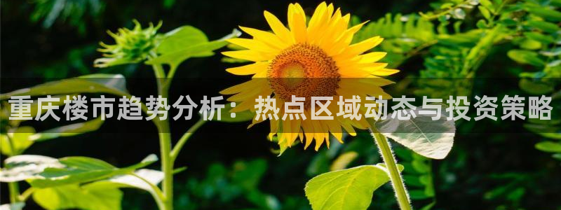 天狮娱乐代理：重庆楼市趋势分析：热点区域动态与投资策略