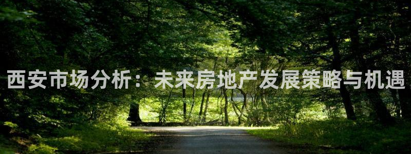 天狮娱乐平台代理：西安市场分析：未来房地产发展策略与机遇