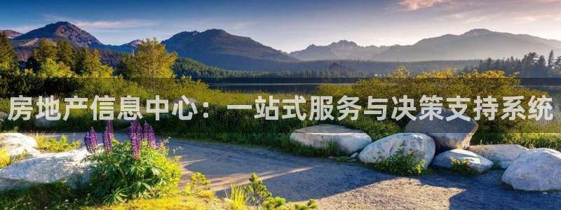 天狮娱乐里：房地产信息中心：一站式服务与决策支持系统