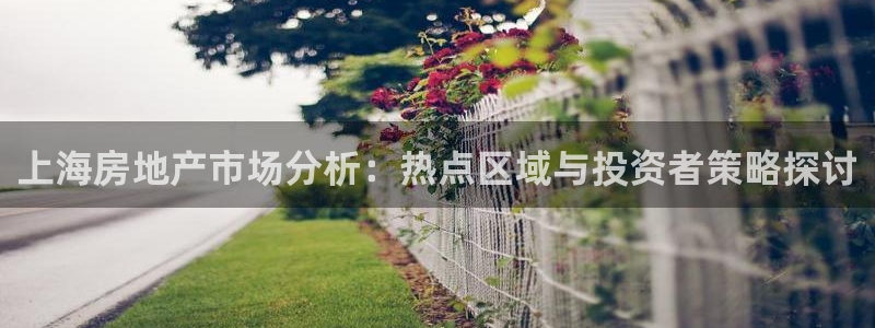 天狮娱乐首选：上海房地产市场分析：热点区域与投资者策略探讨