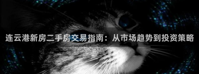 天狮娱乐登录网址：连云港新房二手房交易指南：从市场趋势到投资