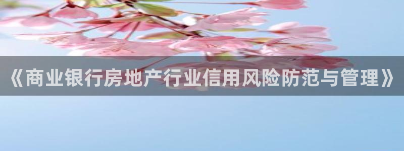 天狮yl娱乐：《商业银行房地产行业信用风险防范与管理》
