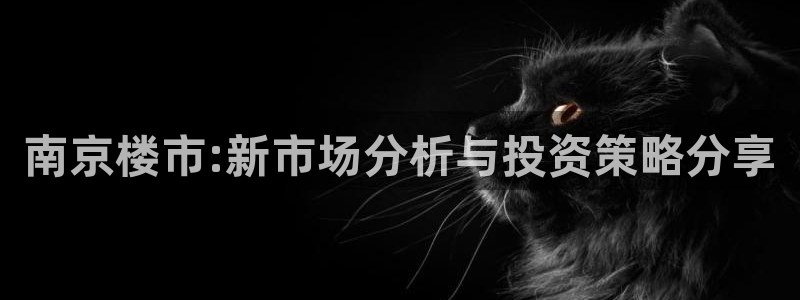 天狮娱乐最高待遇：南京楼市:新市场分析与投资策略分享