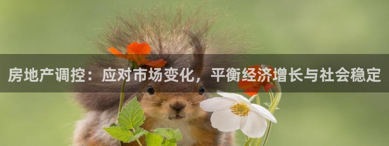 天狮娱乐代理：房地产调控：应对市场变化，平衡经济增长与社会稳