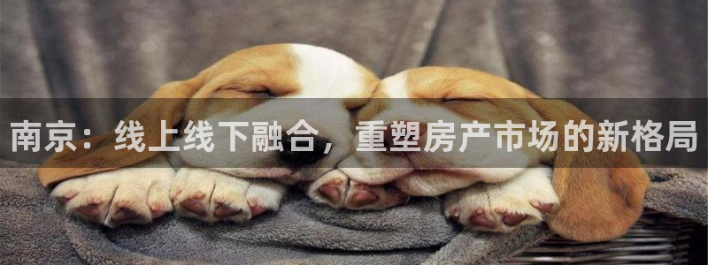 天狮娱乐是正规：南京：线上线下融合，重塑房产市场的新格局