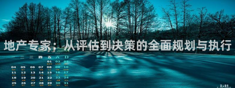 天狮娱乐官网登录：地产专家：从评估到决策的全面规划与执行