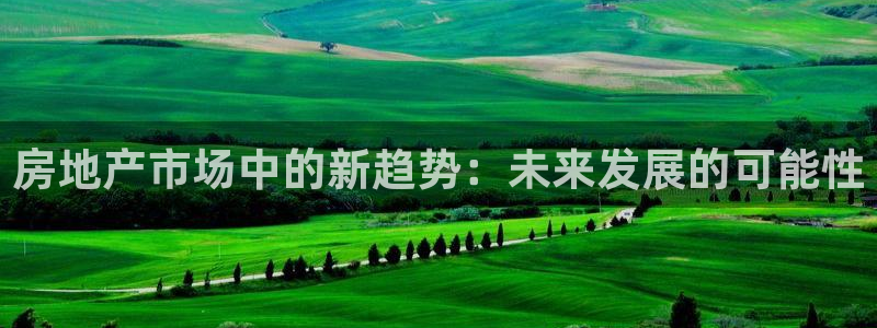 天狮娱乐主管招商：房地产市场中的新趋势：未来发展的可能性