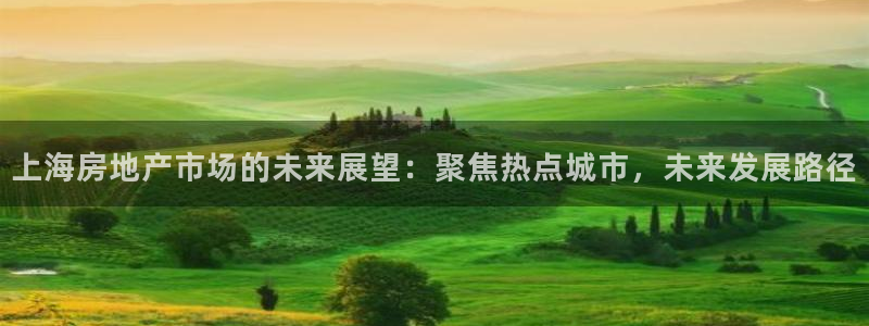 天狮娱乐代理最高多少：上海房地产市场的未来展望：聚焦热点城市