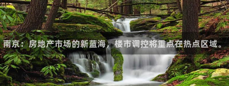 天狮娱乐股东待遇：南京：房地产市场的新蓝海，楼市调控将重点在