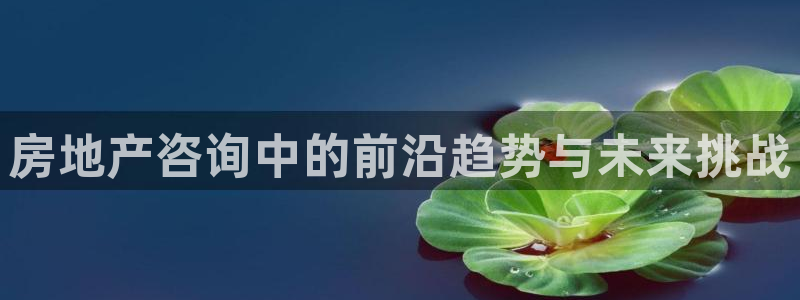 天狮娱乐手机app：房地产咨询中的前沿趋势与未来挑战