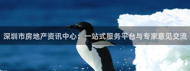 天狮娱乐靠谱吗：深圳市房地产资讯中心：一站式服务平台与专家意