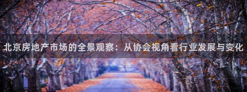 天狮娱乐bd33net广告：北京房地产市场的全景观察：从协会