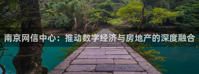 天狮娱乐怎样下载：南京网信中心：推动数字经济与房地产的深度融