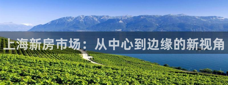 怎么注册天狮娱乐的账号：上海新房市场：从中心到边缘的新视角