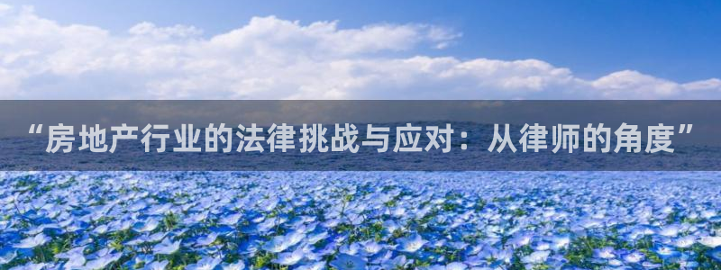 天狮娱乐 31661股z东：“房地产行业的法律挑战与应对：从