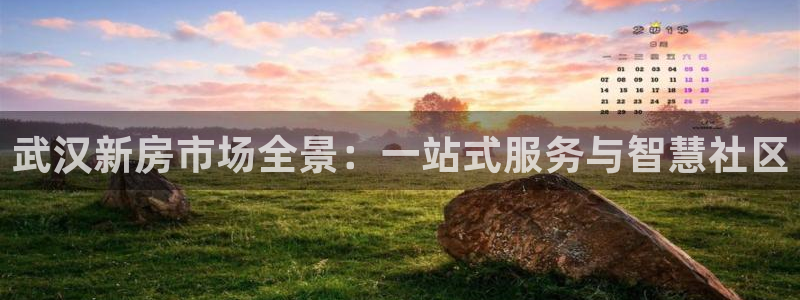 天狮娱乐开好：武汉新房市场全景：一站式服务与智慧社区