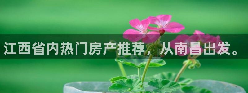 怎么注册天狮娱乐的账号：江西省内热门房产推荐，从南昌出发。