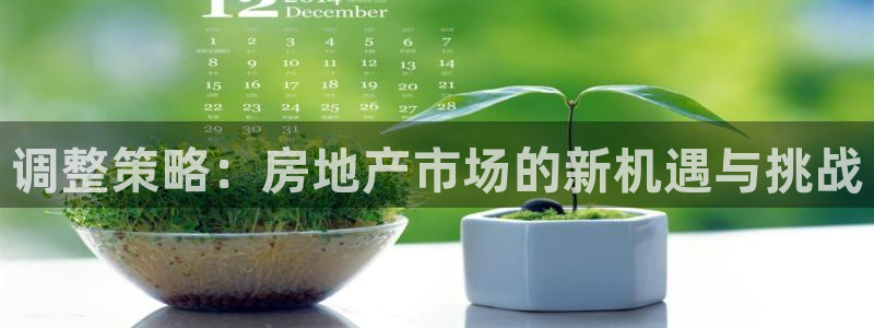 天狮娱乐官网登录地址：调整策略：房地产市场的新机遇与挑战