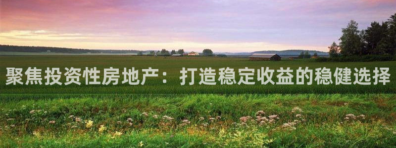 天狮娱乐最新版本：聚焦投资性房地产：打造稳定收益的稳健选择