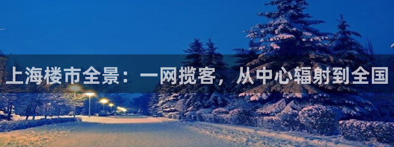 天狮娱乐招j商443593：上海楼市全景：一网揽客，从中心辐