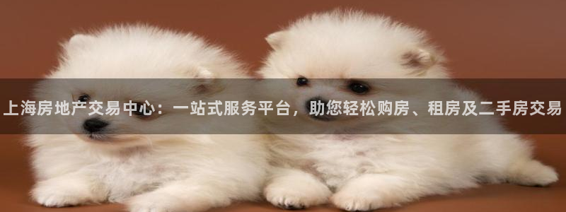 天狮娱乐是什么：上海房地产交易中心：一站式服务平台，助您轻松