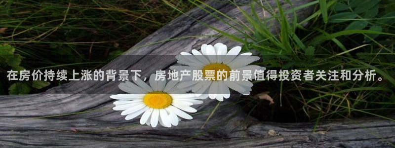 天狮娱乐叶哥：在房价持续上涨的背景下，房地产股票的前景值得投