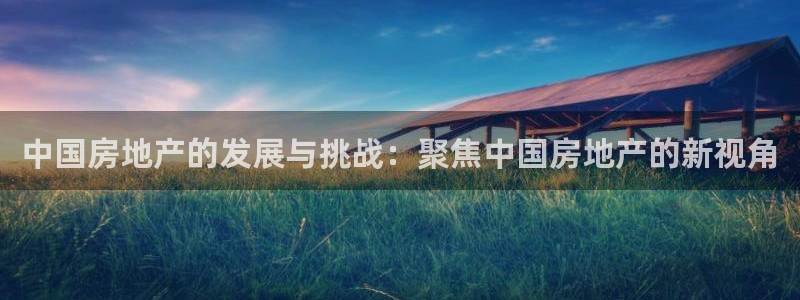 天狮娱乐反点啥意思：中国房地产的发展与挑战：聚焦中国房地产的