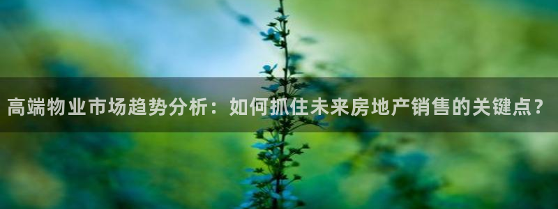 天狮娱乐36633股东：高端物业市场趋势分析：如何抓住未来房