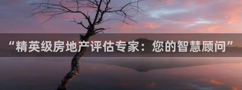 天狮娱乐彩票合法吗：“精英级房地产评估专家：您的智慧顾问”