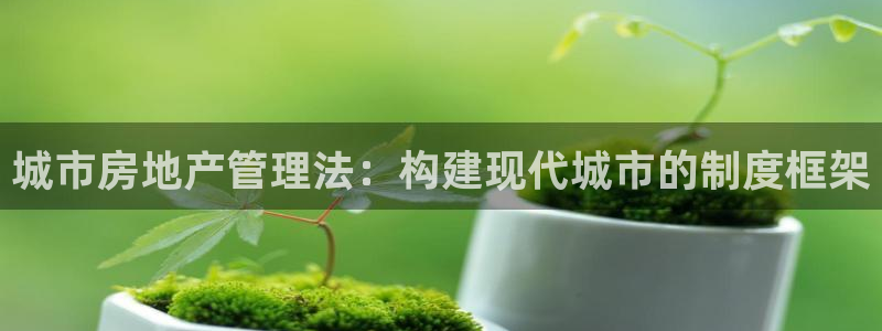 天狮娱乐app是哪的：城市房地产管理法：构建现代城市的制度框