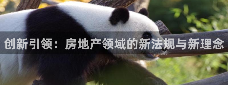 天狮娱乐来0 1311：创新引领：房地产领域的新法规与新理念