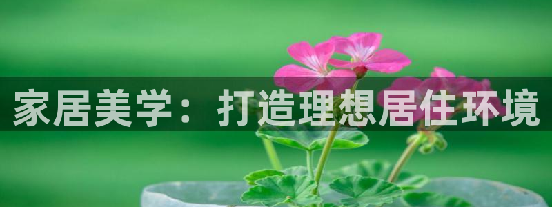 天狮娱乐　23976实c力：家居美学：打造理想居住环境